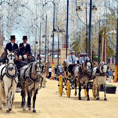 Centro Sol Plazuela * Jerez de la Frontera